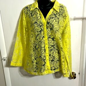 Chicos blouse, long sleeve, sheer button-down